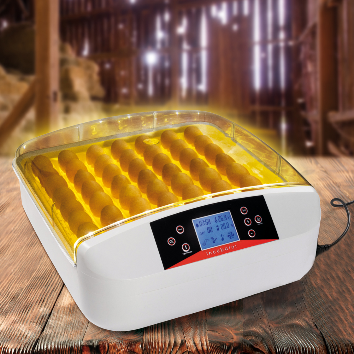 ID MARKET Couveuse PRO automatique 56 oeufs éclairés incubateur autonome avec LED mire oeufs