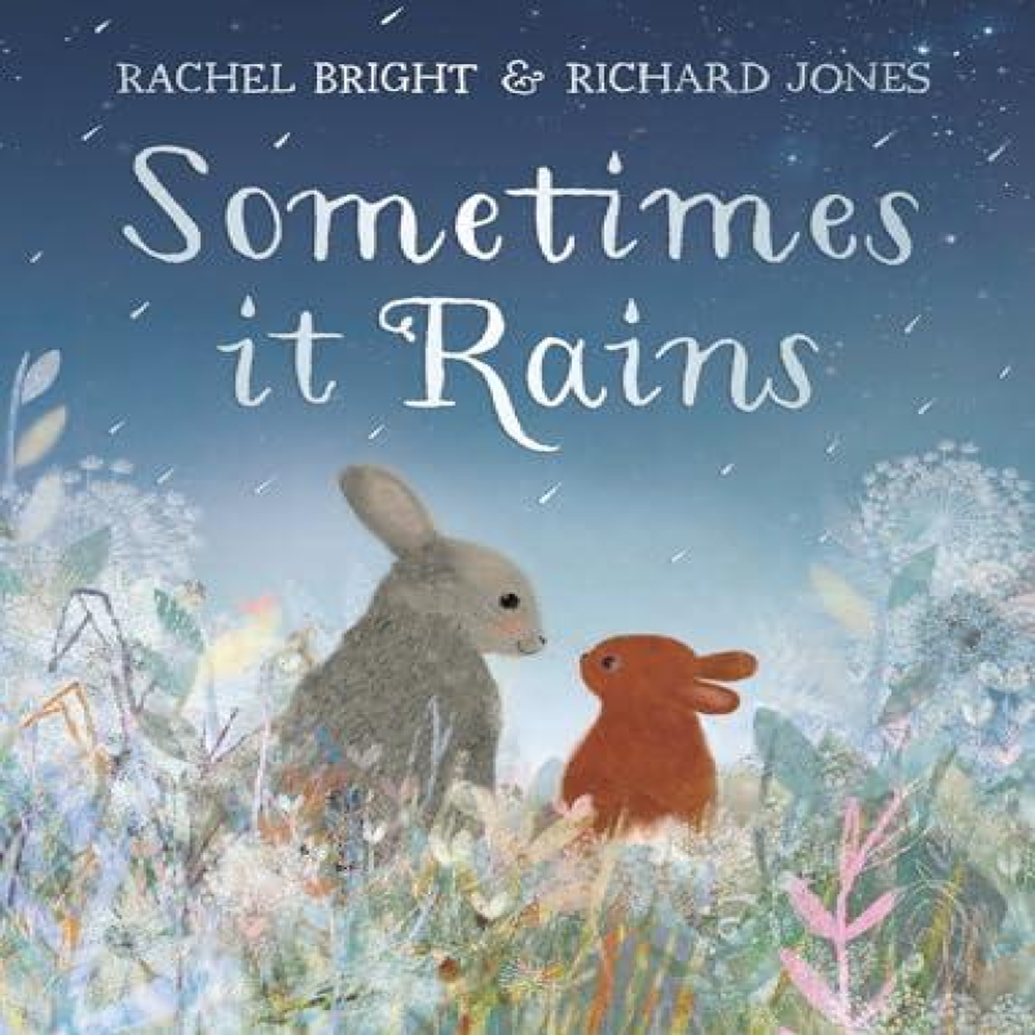 LIVRES Sometimes It Rains - Rachel Bright