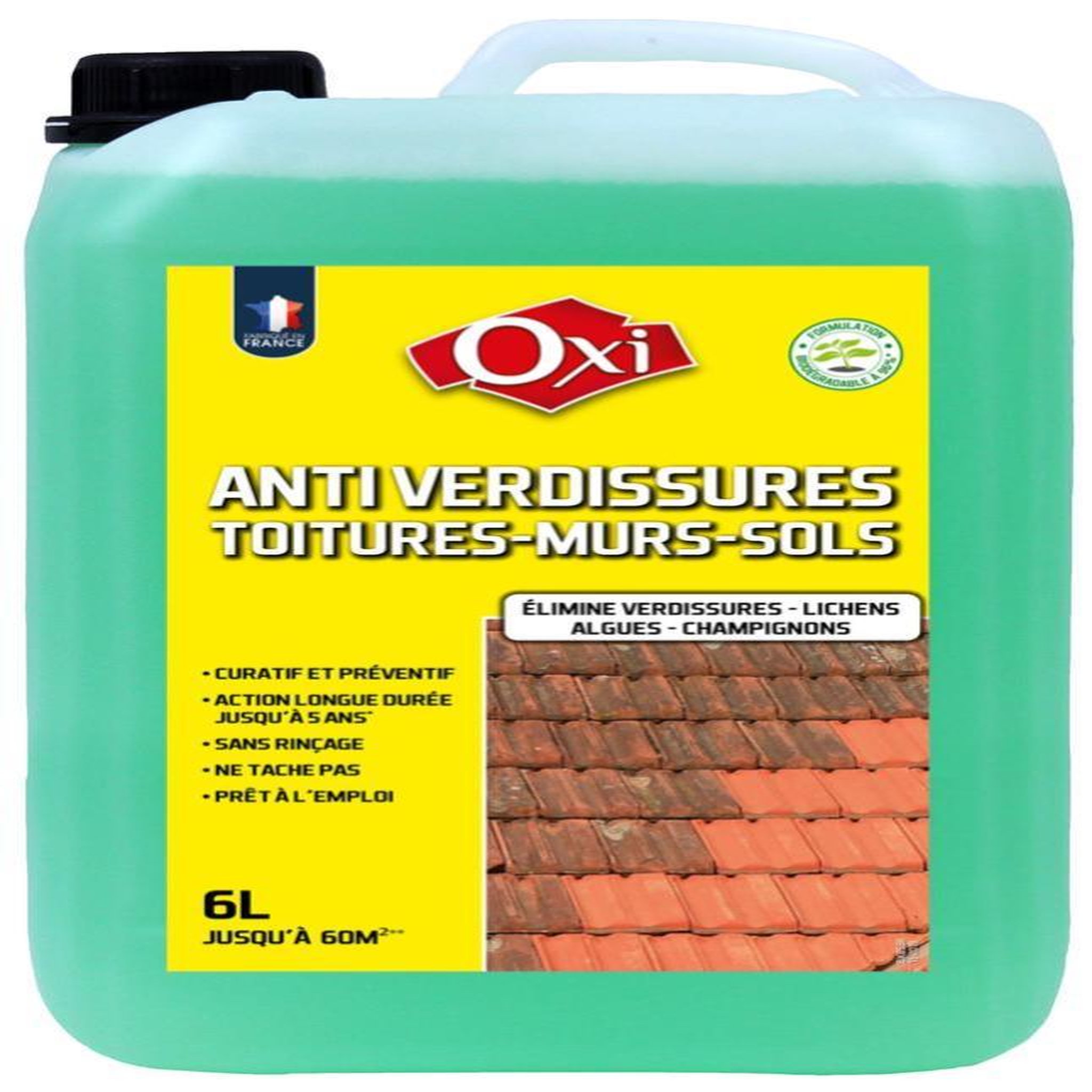 CENTRALE BRICO Traitement anti-dépots verts façade OXYTOL, 6 L Le glouton
