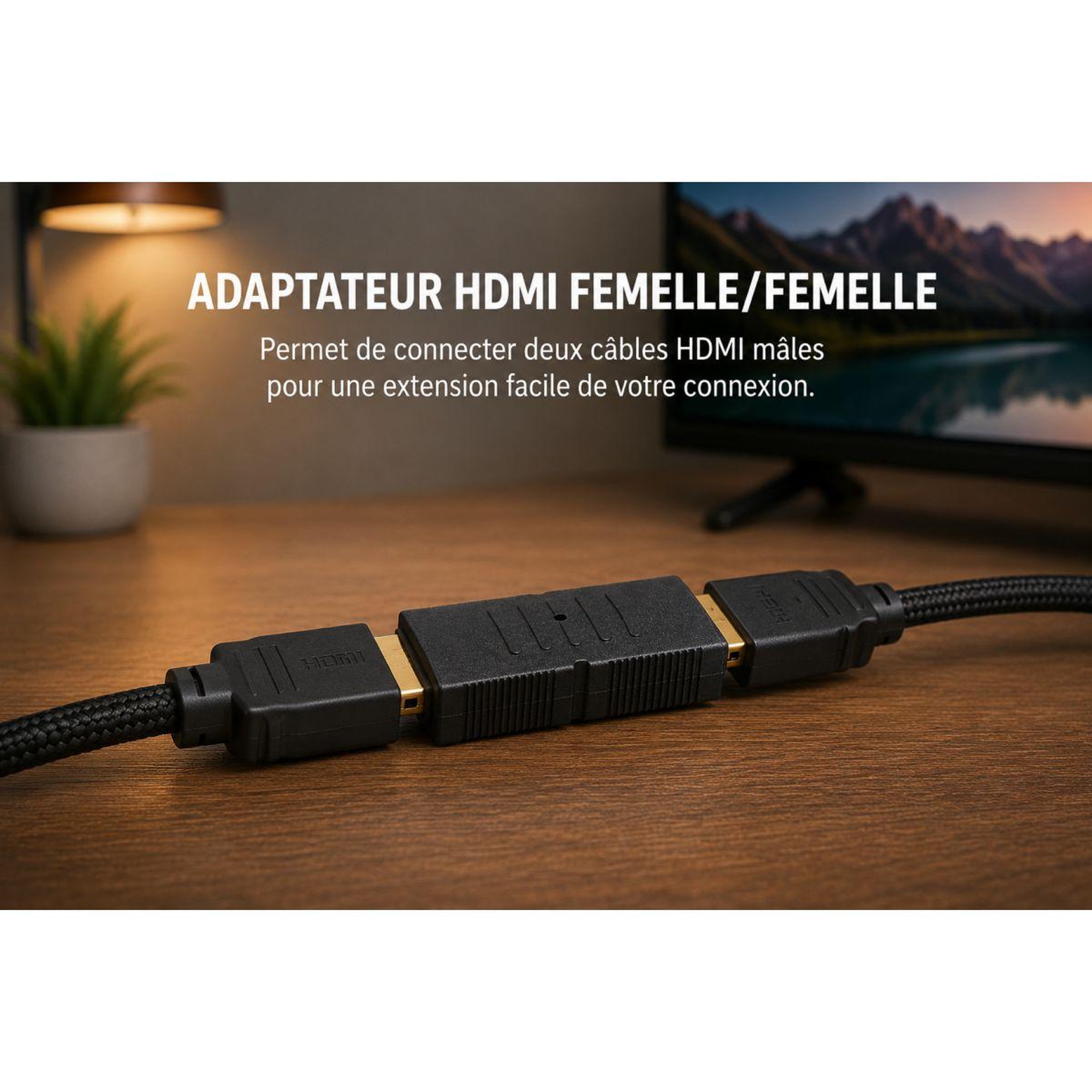 Voir la diapositive 3 : ESSENTIEL B Adaptateur HDMI HDMI vers HDMI F/F