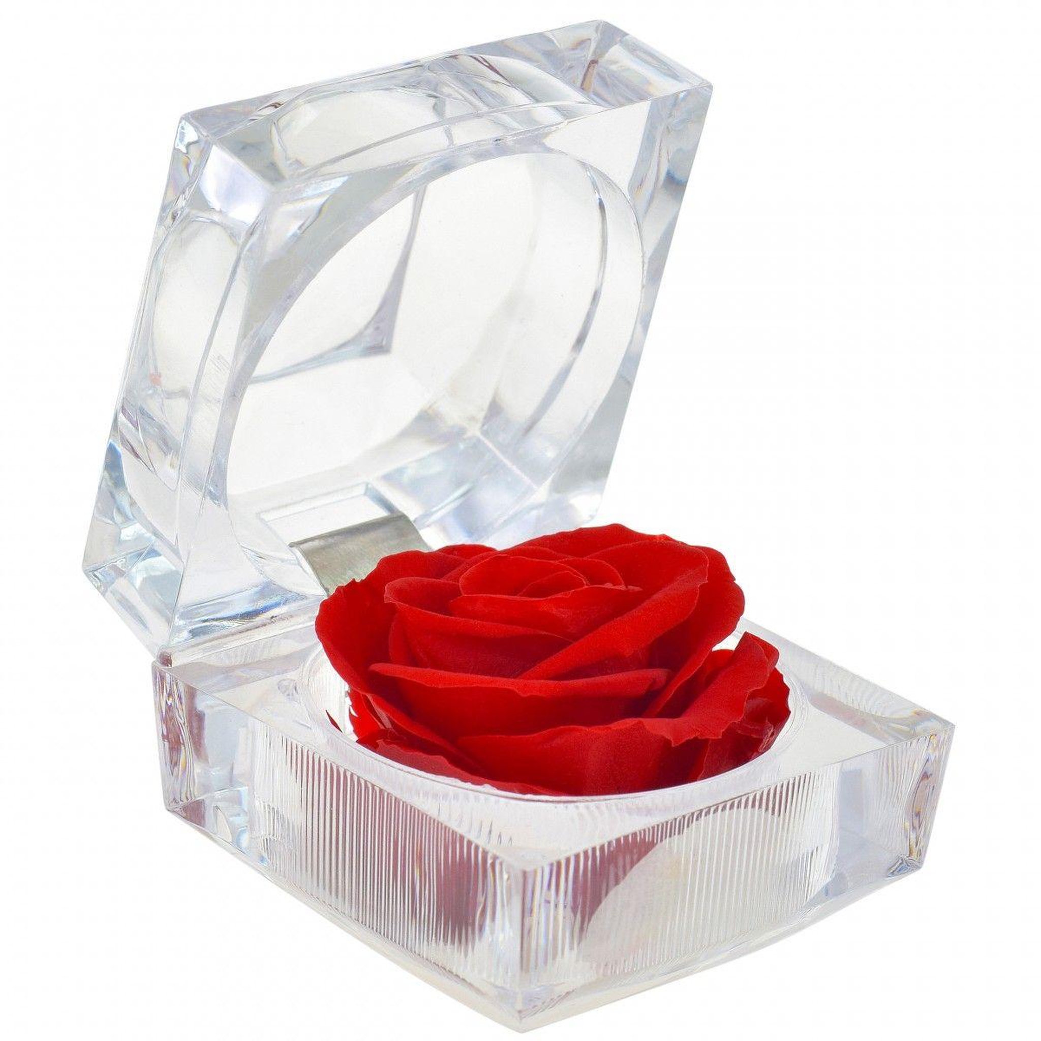 SC CRYSTAL Rose éternelle rouge