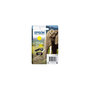 Voir la diapositive 1 : Epson Cartouche imprimante EPSON C 13 T 24344012