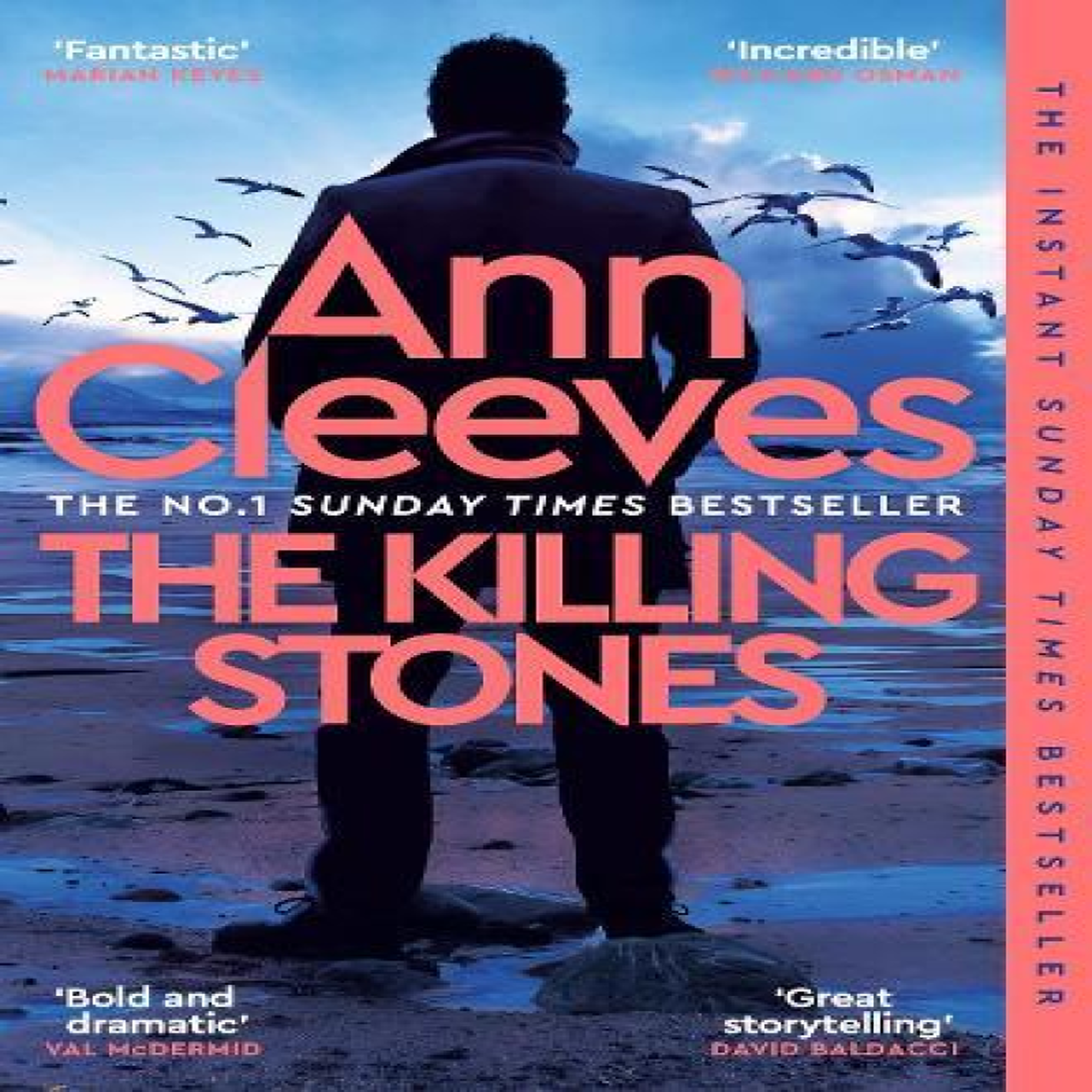 LIVRES The Killing Stones - Ann Cleeves