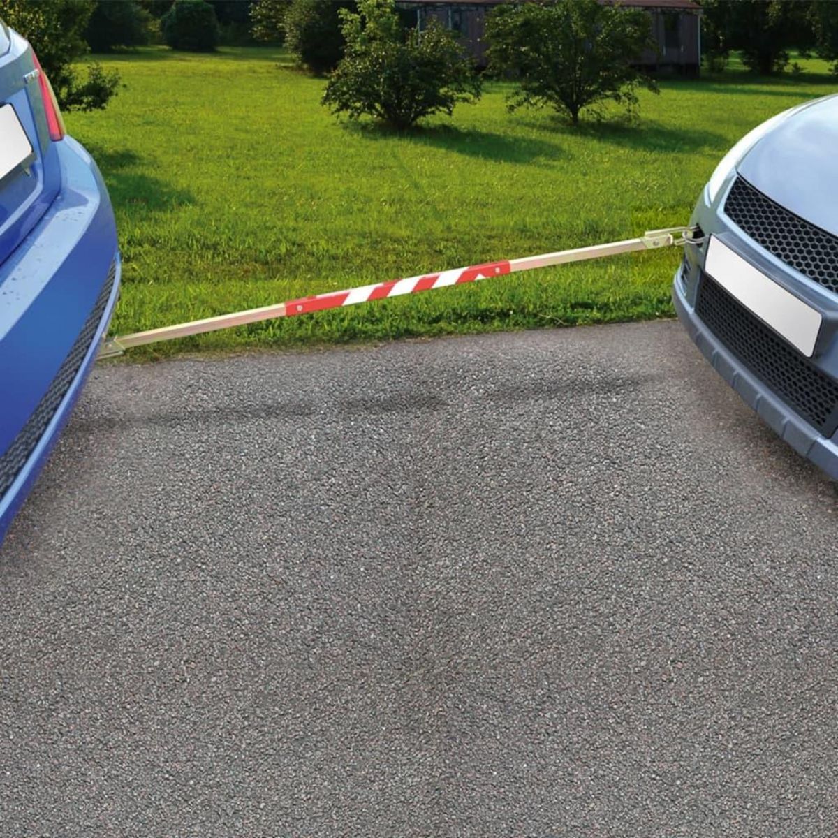 PROPLUS Barre de remorquage 2500 kg ProPlus