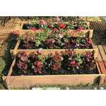 GARDENSTAR Carré Potager escalier - Bois - 90x90cm