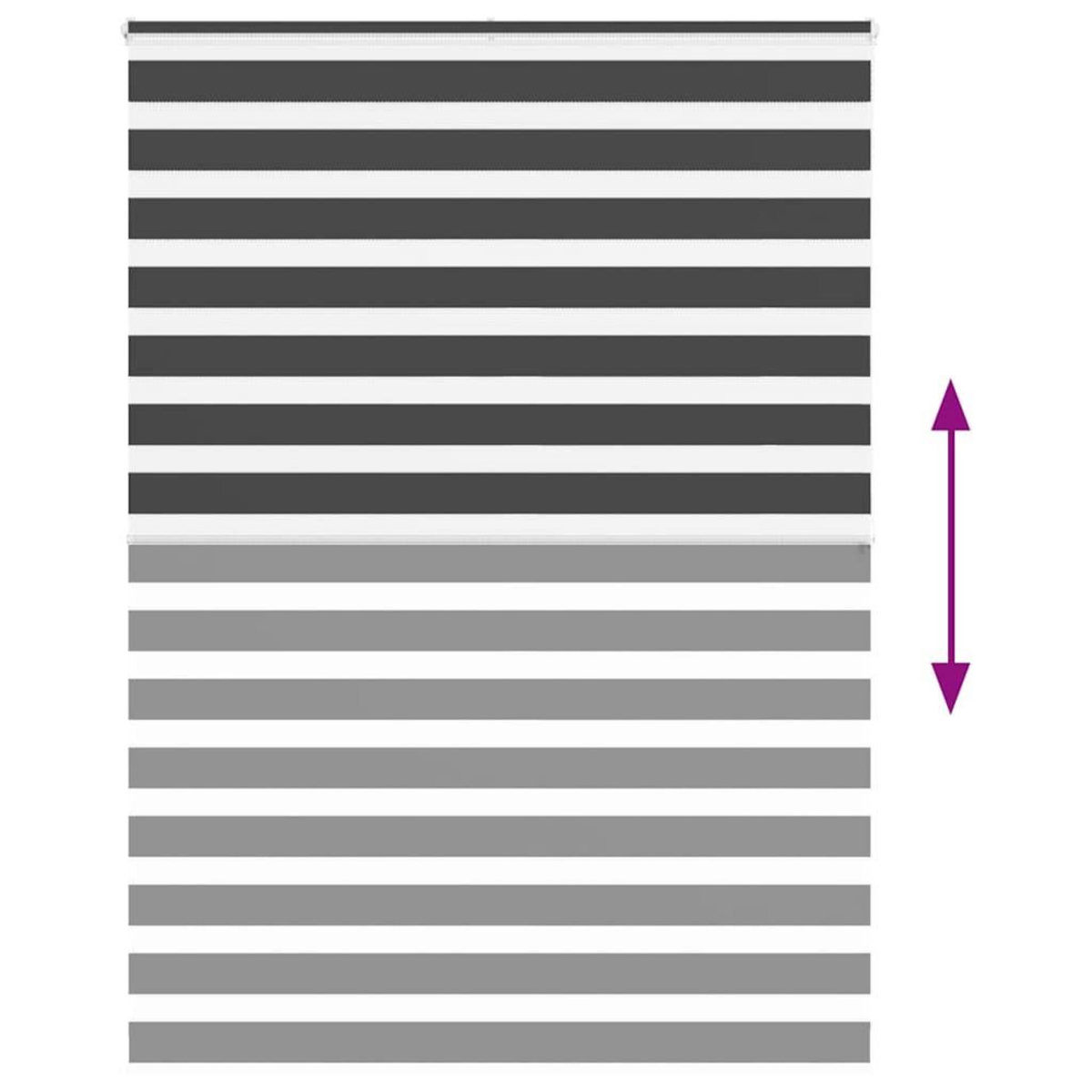 VIDAXL Store zebre noir 155x200 cm largeur du tissu 150,9 cm polyester