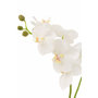 Voir la diapositive 2 : Paris Prix Fleur Artificielle Déco  Orchidée en Terre  54cm Blanc