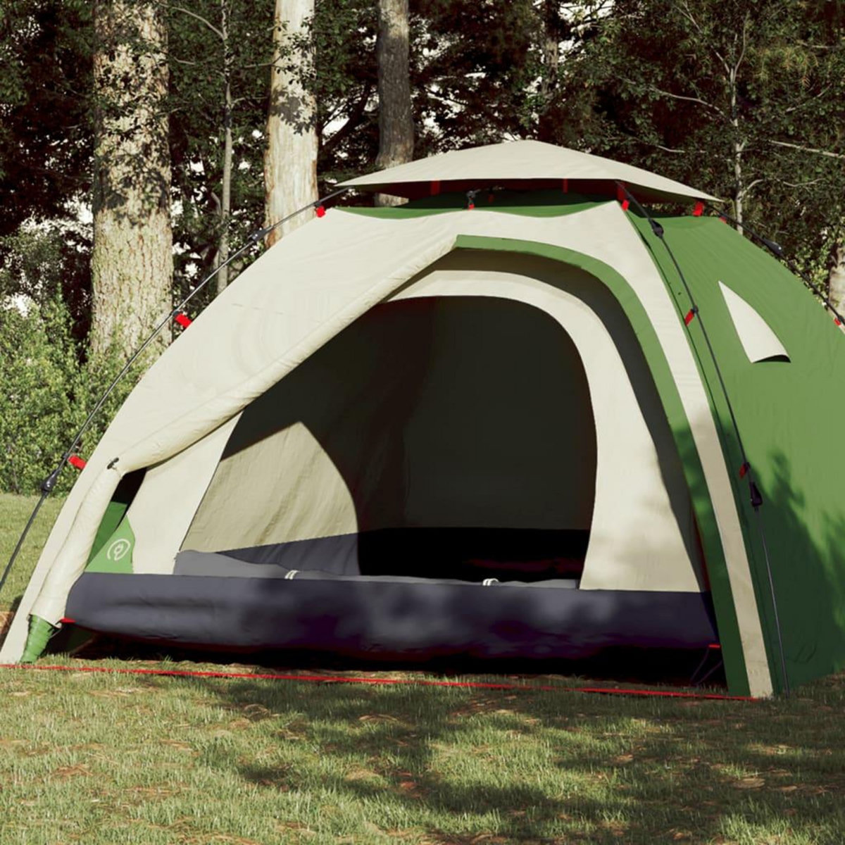 VIDAXL Tente de camping a dome 4 personnes vert liberation rapide