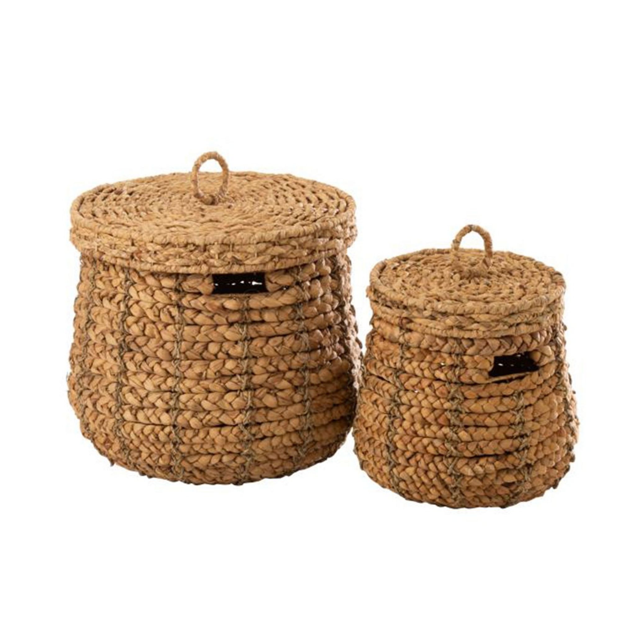 Jason Bonhamen Sd531w Parement Bois PROMARK Baguettes Jason Bonham En érable SD531, Olive En Bois Baguette Batterie Jason Bonham Pro Mark