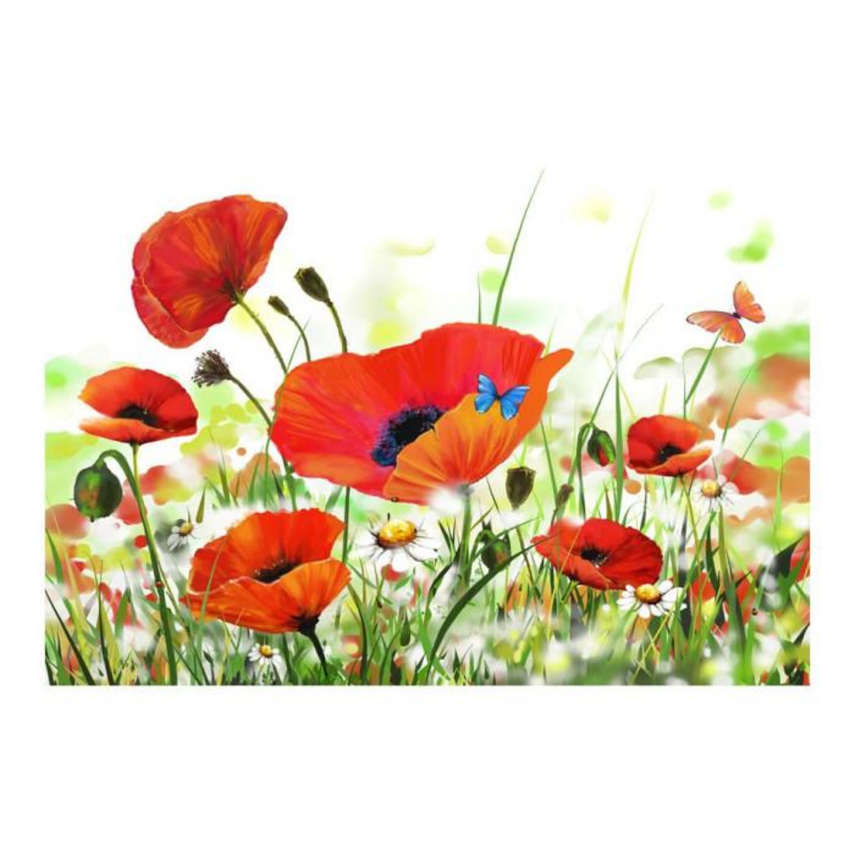 Paris Prix Papier Peint  Country Poppies II  400x270cm