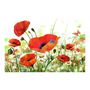 Voir la diapositive 2 : Paris Prix Papier Peint  Country Poppies II  400x270cm