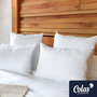 Voir la diapositive 2 : COLAS NORMAND Oreiller Colas Normand anti-acariens GreenFirst® 45X70 cm