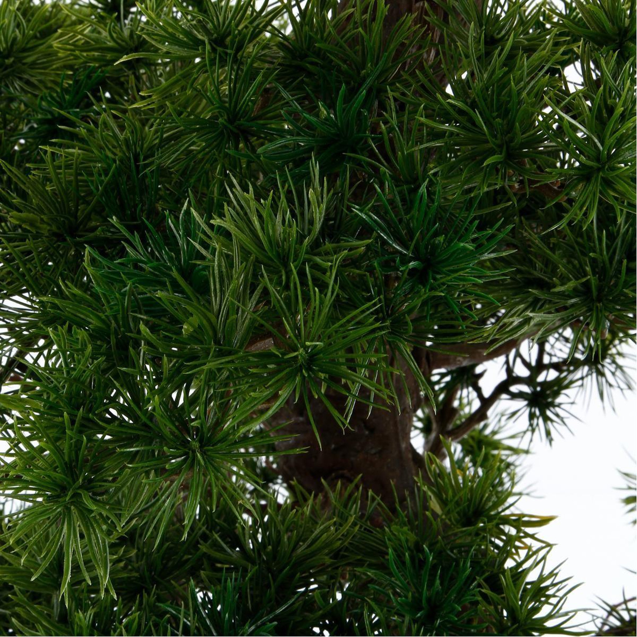 Voir la diapositive 2 : ATMOSPHERA Plante artificielle  bonsaï  151cm noir