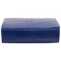 Voir la diapositive 2 : VIDAXL Bache bleu 5x8 m 650 g/m²