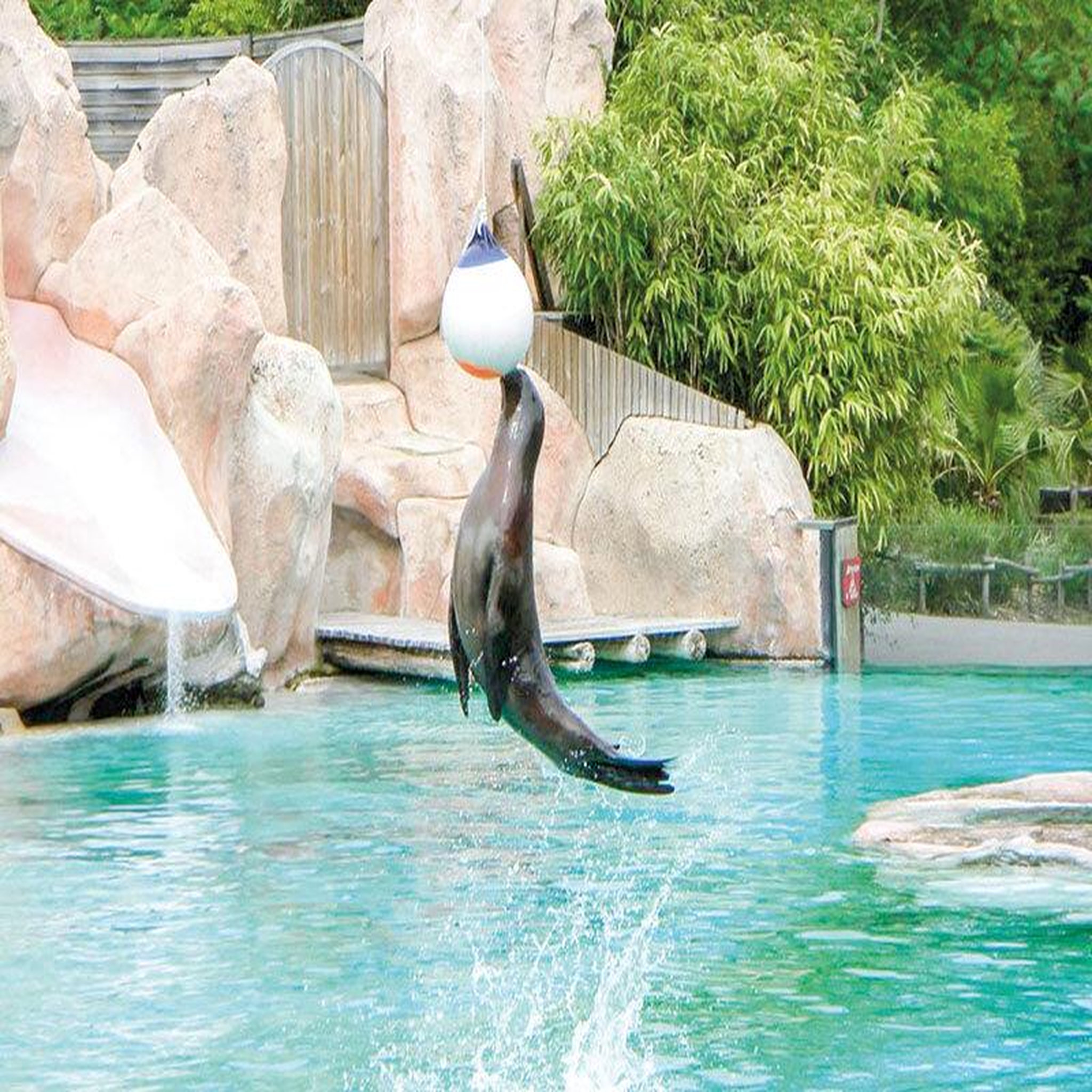 Voir la diapositive 3 : Smartbox Journée découverte au Parc Zoologique d'Amnéville pour 5 personnes - Coffret Cadeau Multi-thèmes