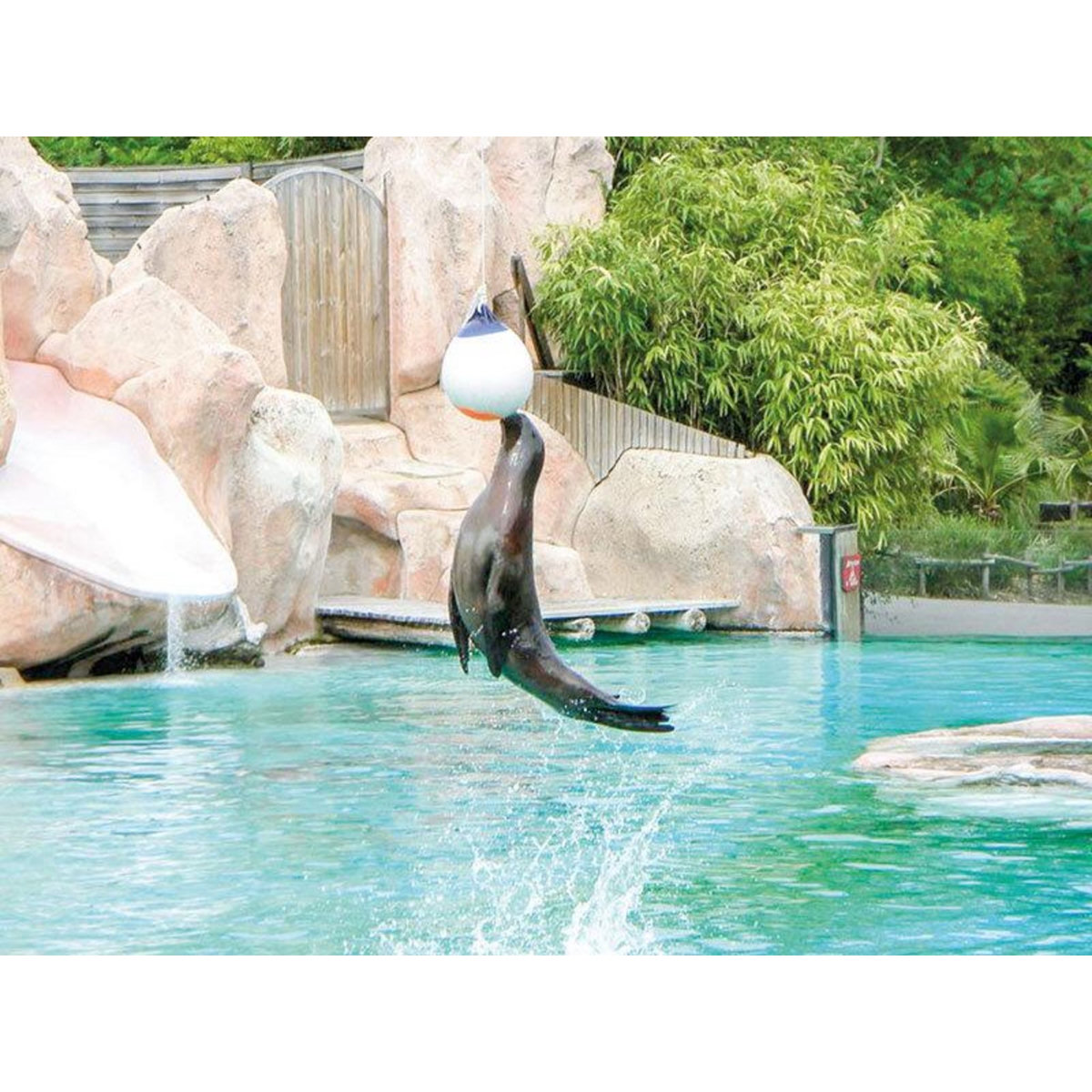 Smartbox Journée découverte au Parc Zoologique d'Amnéville pour 5 personnes - Coffret Cadeau Multi-thèmes