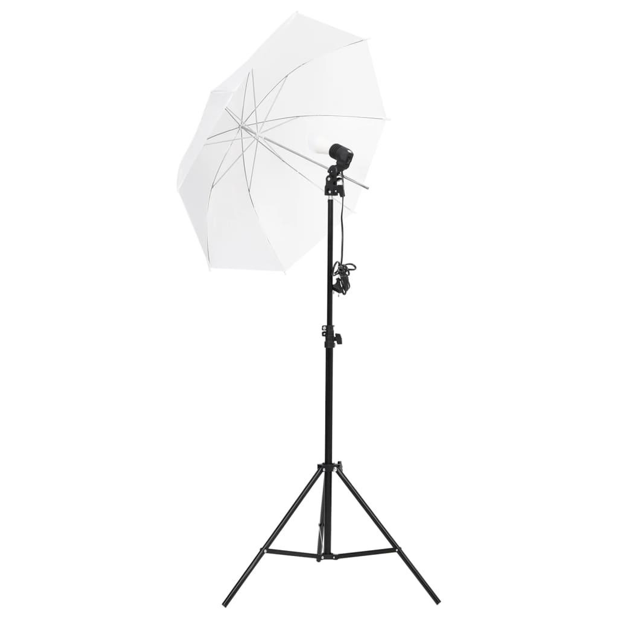 Voir la diapositive 3 : VIDAXL Kit de studio photo avec eclairage toile de fond et reflecteur