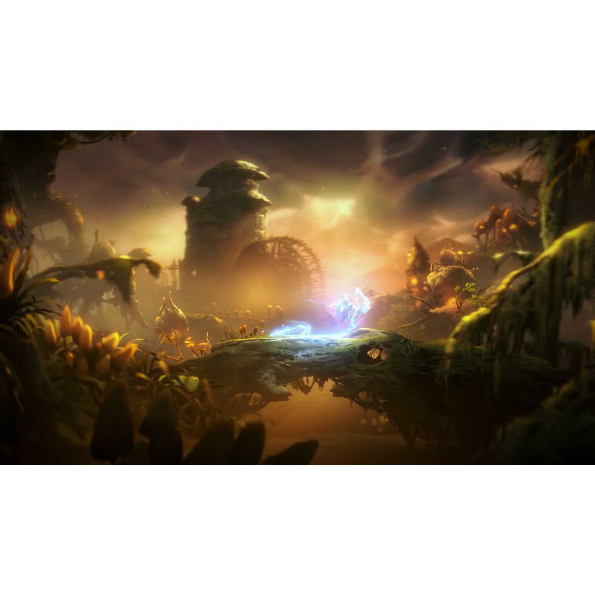 Ori and The Will of The Wisps Xbox One