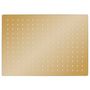 Voir la diapositive 2 : VIDAXL Pomme de douche pluie Inox 40x30 cm Rectangulaire Dore