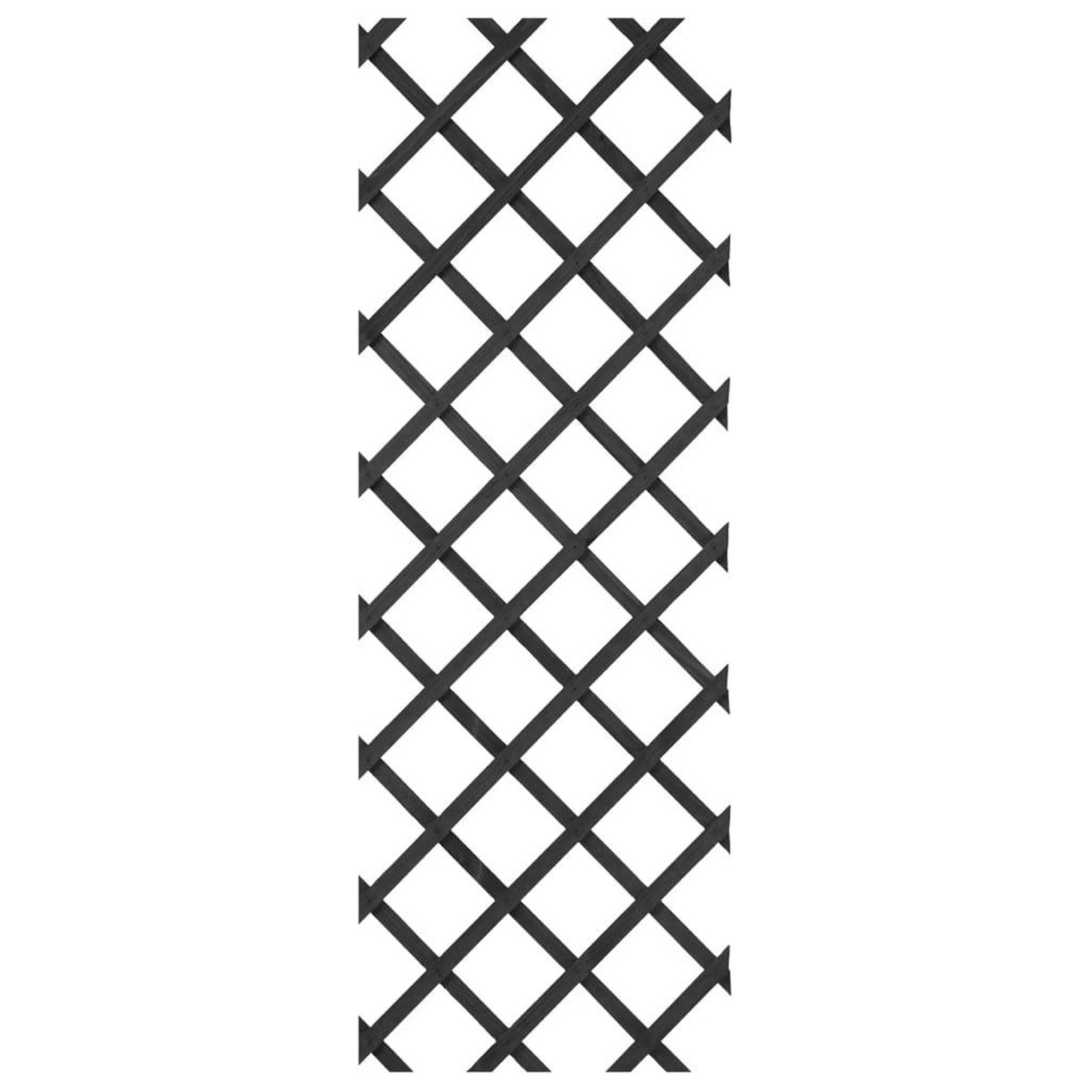 NATURE Nature Treillis de jardin 50x150 cm bois anthracite