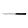Voir la diapositive 2 : Lion Sabatier Coffret 4 couteaux à steak 12.5 cm abs - 765480