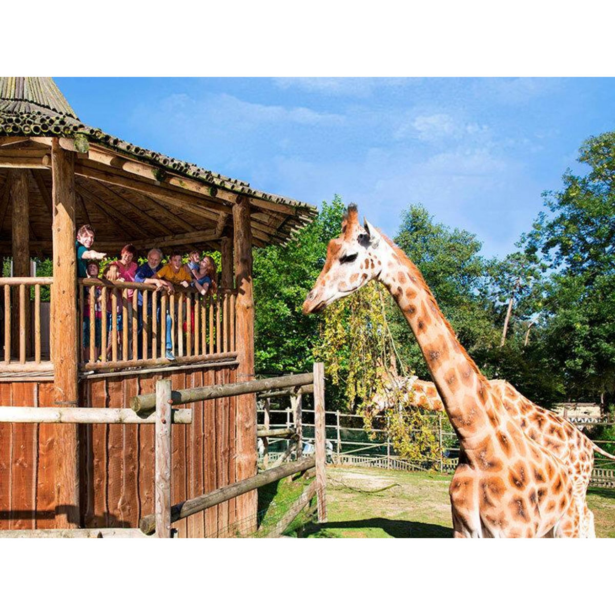 Smartbox Entrée au Parc Bellewaerde en 2024 pour 1 adulte - Coffret Cadeau Sport & Aventure