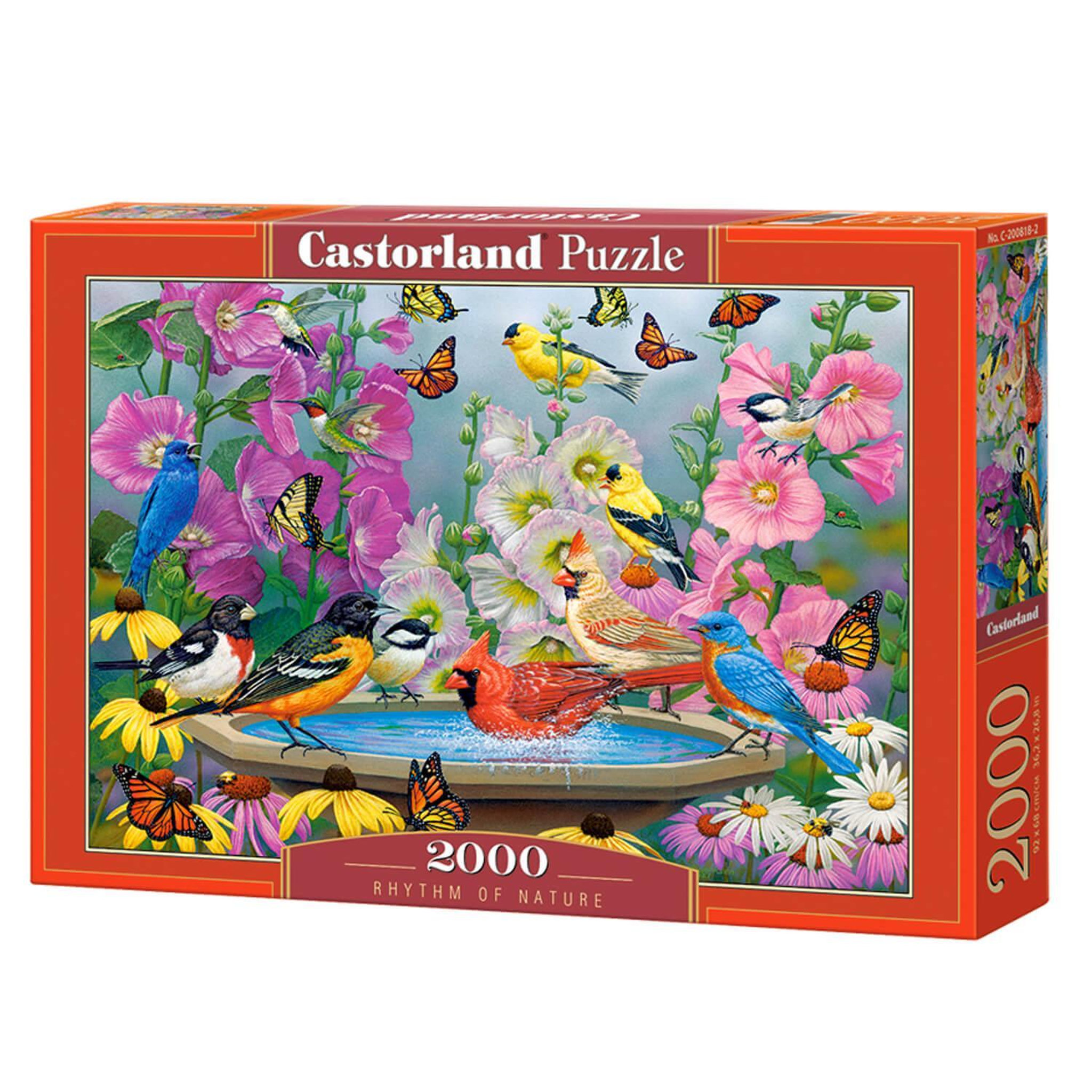 Voir la diapositive 2 : Castorland Puzzle 2000 pièces : Rythme de la Nature