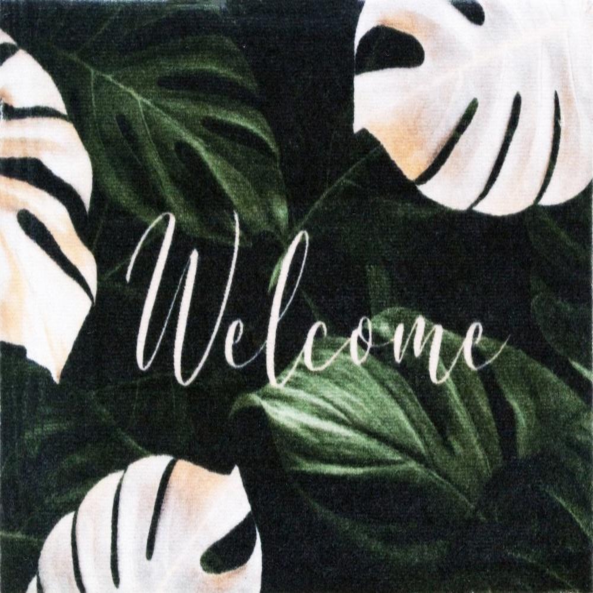 CENTRALE BRICO Paillasson multicouleur l.40 cm x L.60 cm, Boston4060jungle