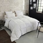 DUNLOPILLO Couette Premium Naturelle Tempérée - 30% duvet. Coloris disponibles : Blanc