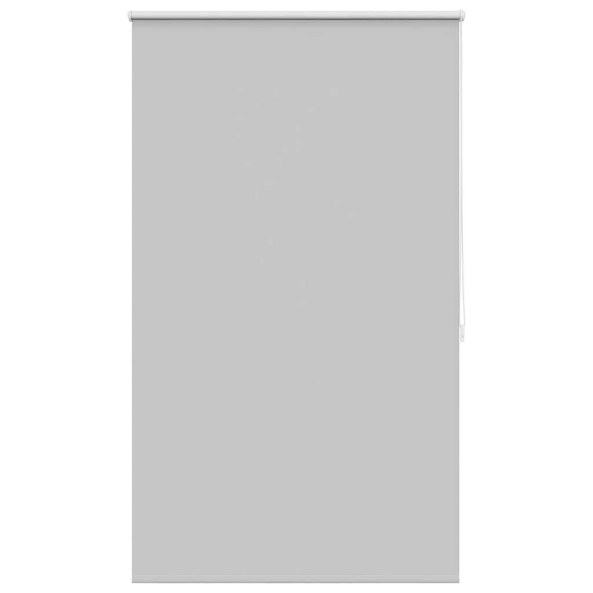 VIDAXL Store enrouleur occultant 100 x 175 cm gris