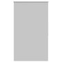 Voir la diapositive 2 : VIDAXL Store enrouleur occultant 100 x 175 cm gris