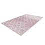 Voir la diapositive 4 : Paris Prix Tapis Vintage Fait Main  Monroe I  Rose