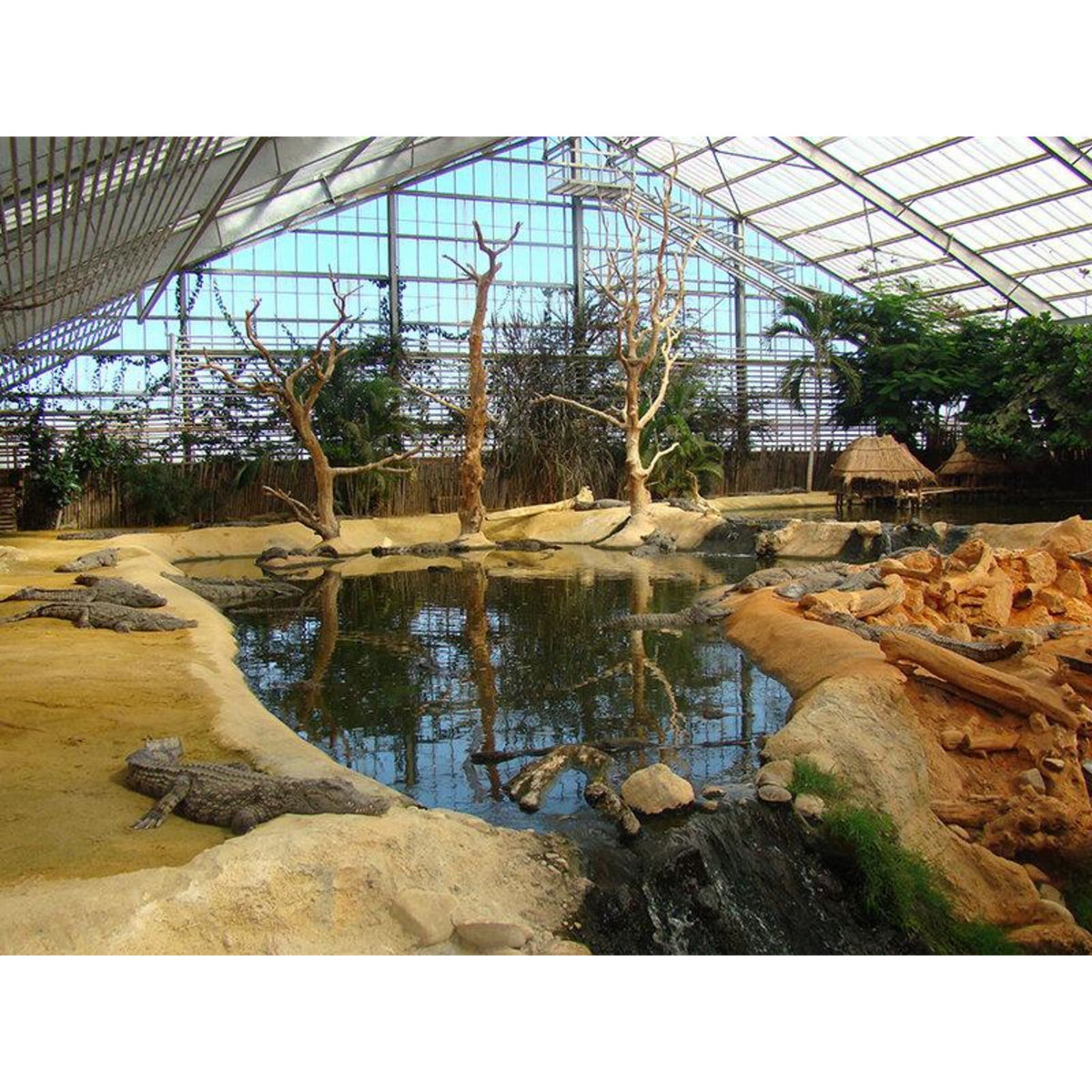 Smartbox Journée en famille près de Montélimar : entrées pour La Ferme aux Crocodiles pour 2 adultes et 1 enfant - Coffret Cadeau Sport & Aventure