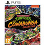 Voir la diapositive 1 : Teenage Mutant Ninja Turtles Cowabunga PS5