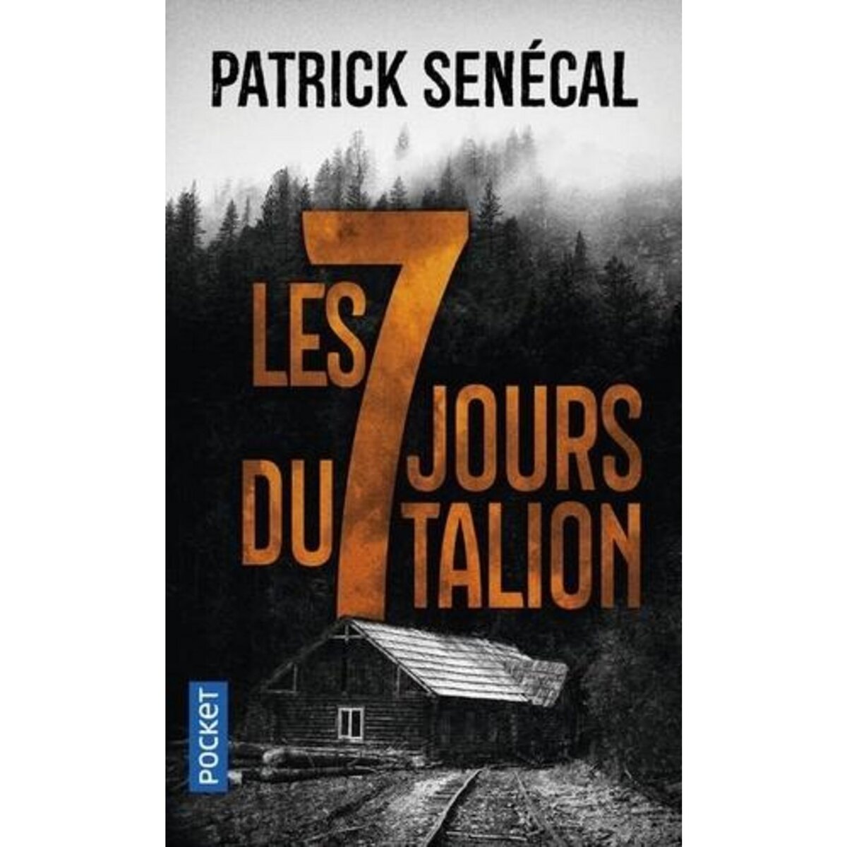 LES SEPT JOURS DU TALION, Senécal Patrick