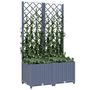 Voir la diapositive 3 : VIDAXL Jardiniere avec treillis bleu gris 80x40x136 cm PP