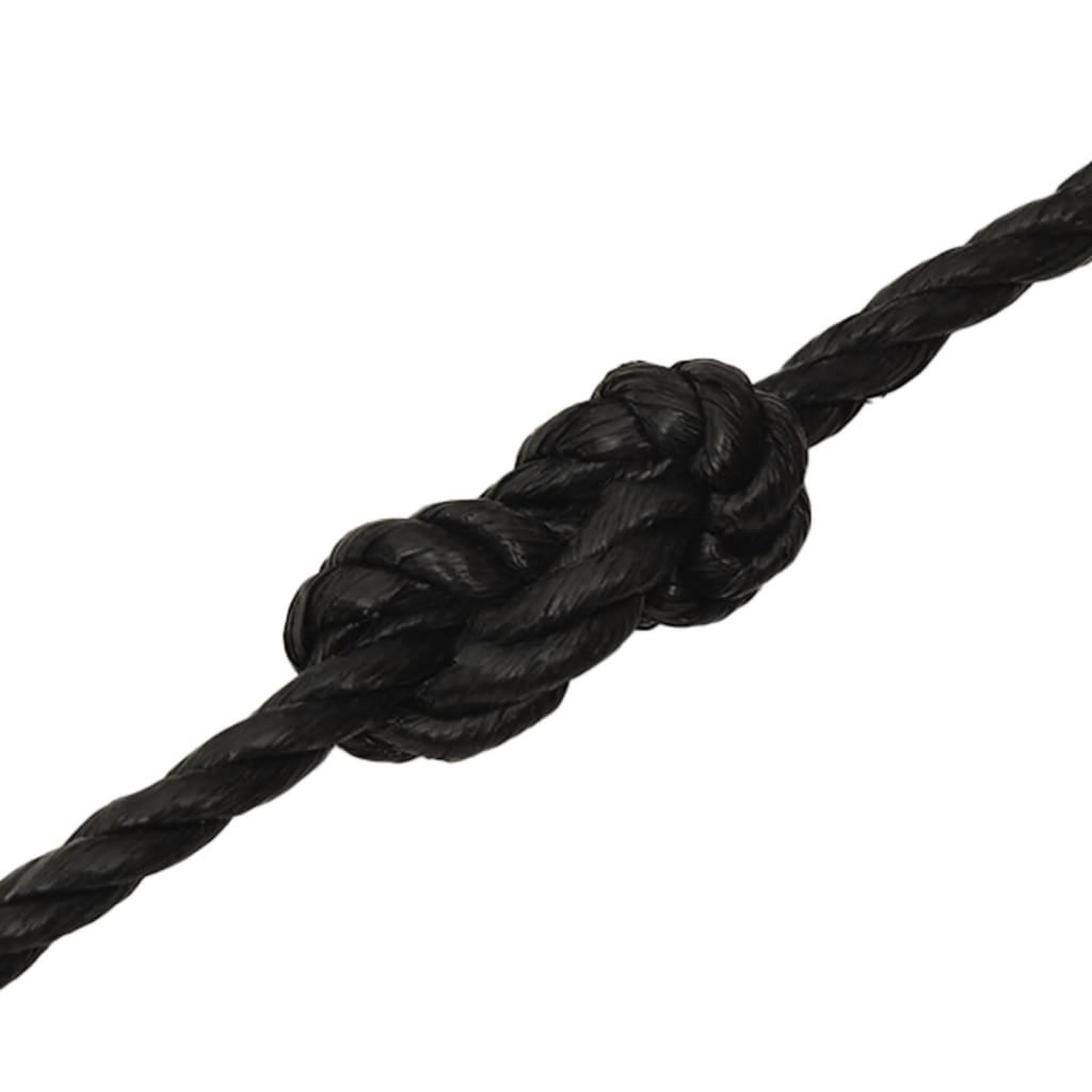 Voir la diapositive 5 : VIDAXL Corde de travail Noir 10 mm 100 m polypropylene
