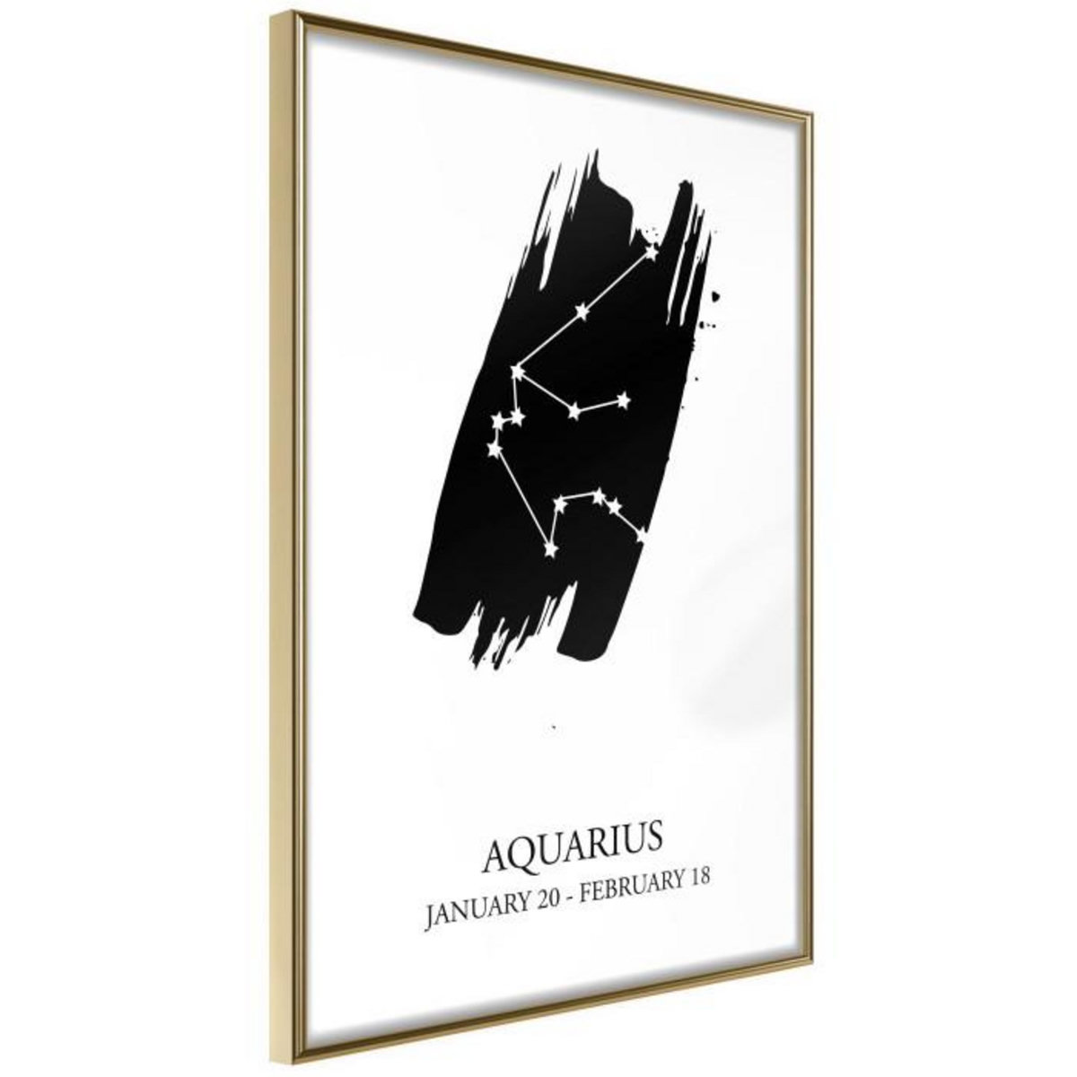 Paris Prix Affiche Murale Encadrée  Zodiac Aquarius I