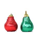 PLANT IN A BOX Amaryllis - Hippeastrum 'Duo Scintillant' - Rouge et Vert