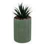Voir la diapositive 1 : ATMOSPHERA Plante Artificielle en Pot  Joy  20cm Vert