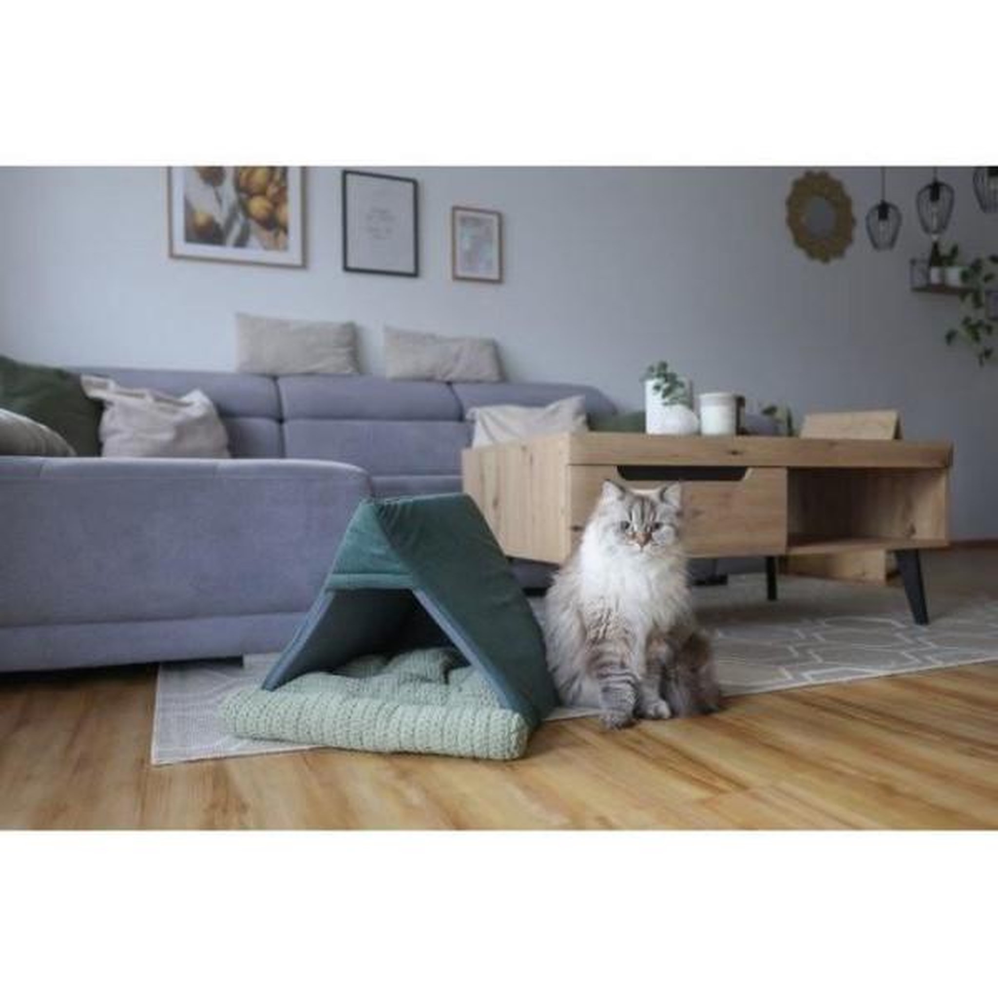 Voir la diapositive 3 : KERBL KERBL - Couchette pour chats - ANNE - 45 x 40 x 34 cm - Vert