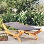 VIDAXL Lit de repos exterieur 100x188,5x44 cm Bois courbe Anthracite