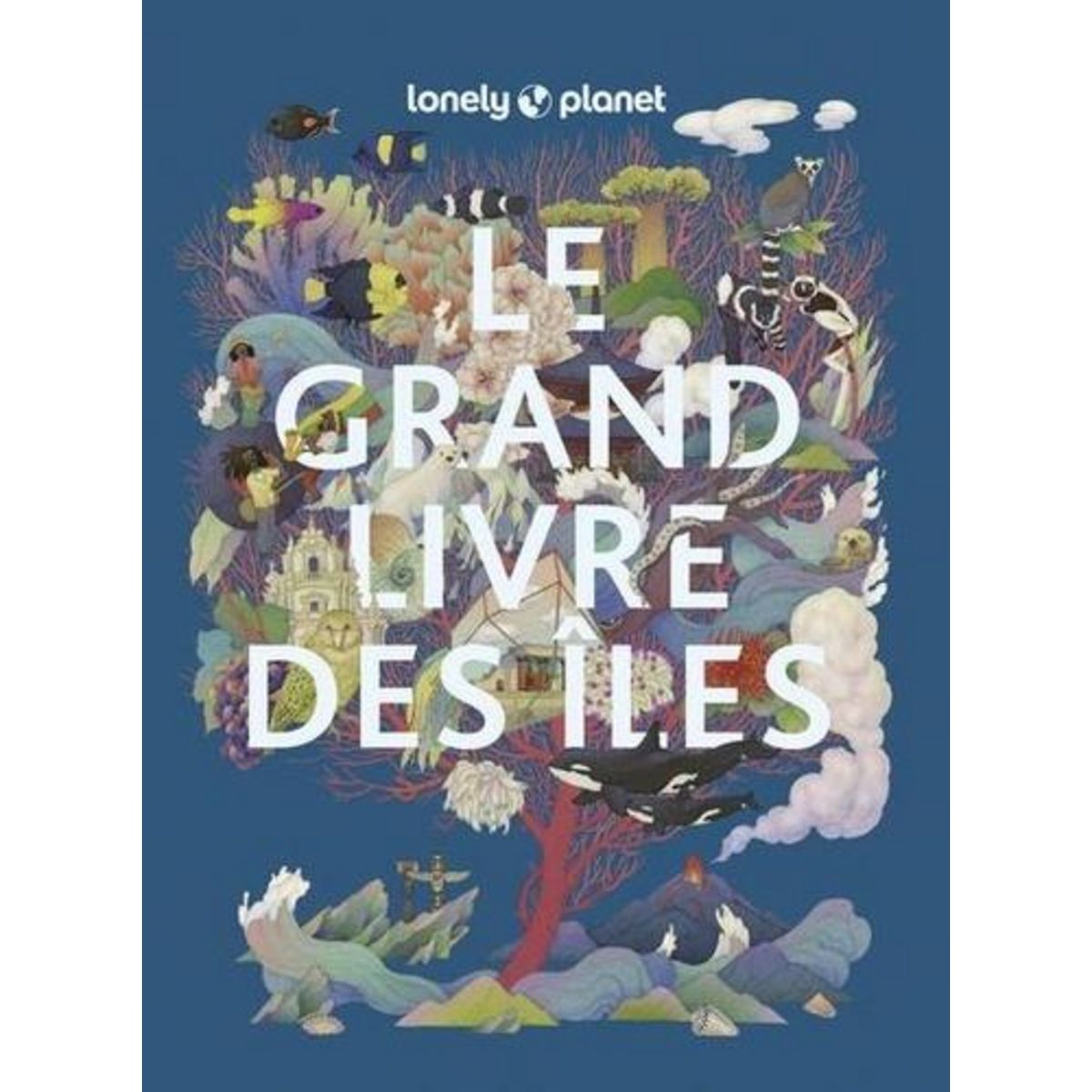 LE GRAND LIVRE DES ILES. LES ILES LES PLUS EXTRAORDINAIRES DU MONDE, Atkinson Brett
