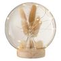 Voir la diapositive 2 : Paris Prix Cloche Boule Led en Verre  Ange  16cm Naturel