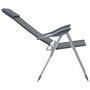 Voir la diapositive 5 : VIDAXL Chaise de camping lot de 2 Gris 58x69x111 cm Aluminium