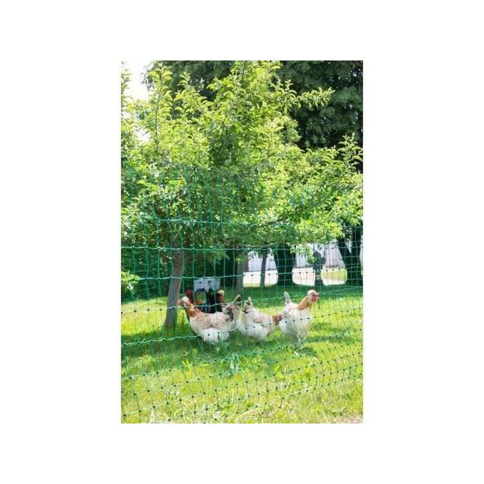 Voir la diapositive 1 : KERBL KERBL Filet pour les poules 25 m - 106 cm - double pointe - vert - non électrique