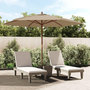 Voir la diapositive 1 : VIDAXL Parasol de jardin avec mat en bois taupe 299x240 cm