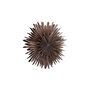 Voir la diapositive 4 : Paris Prix Lampe Suspension Design  Selen  80cm Marron