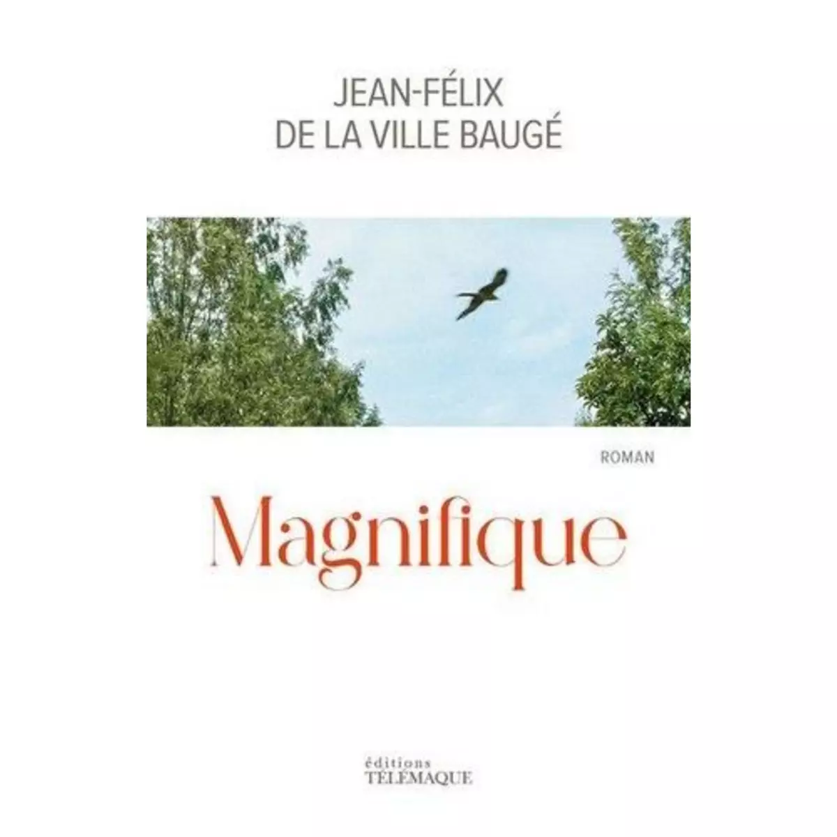  MAGNIFIQUE, La Ville Baugé Jean-Félix de