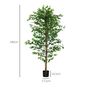 Voir la diapositive 3 : HOMCOM Arbre artificiel plante artificiel ficus hauteur 1,8 m tronc branches liane lichen feuilles grand réalisme pot inclus